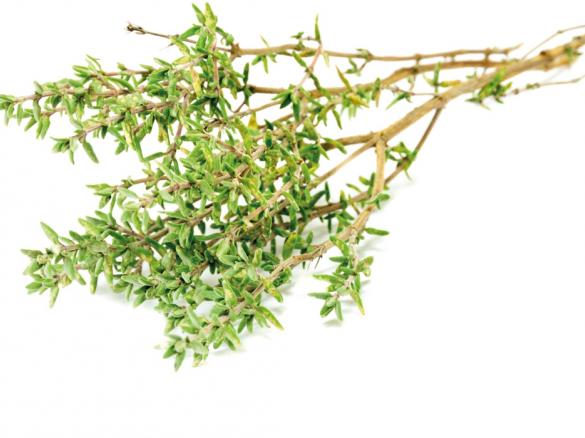 Tee gegen Husten, Schnupfen und Heiserkeit