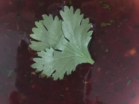 Pikante süß-saure Sauce zu Frühlingsrollen