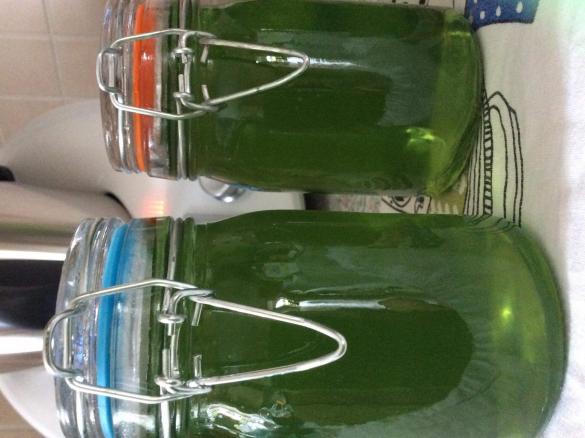 Grüner Gelee nach Oma Else (Apfel-Waldmeister)