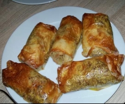 Frühlingsrollen aus dem Backofen 