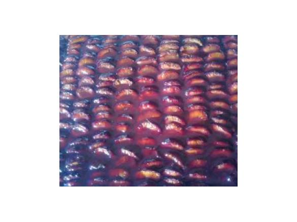 Zwetschkenfleck mit Dach