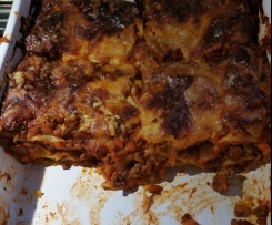 Lasagne-Bolognese WW 9PTS