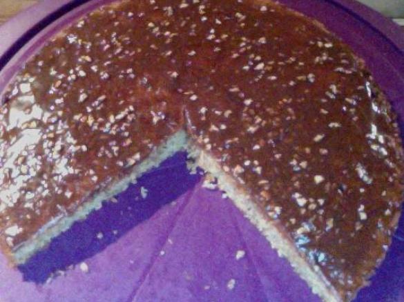 Kokos-Nuss-Kuchen mit Schokoladenguss (Glutenfrei)