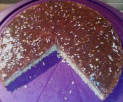 Kokos-Nuss-Kuchen mit Schokoladenguss (Glutenfrei)