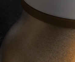 Tonkabohne / Kakao / Pulver - Vanille-/Tonkabohnenzucker