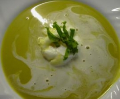 Sauerampfersuppe