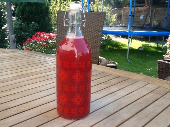 Rhabarber-Erdbeer-Likör