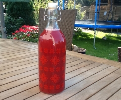 Rhabarber-Erdbeer-Likör