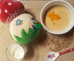 Vollmilch Getreide Brei Pfirsich