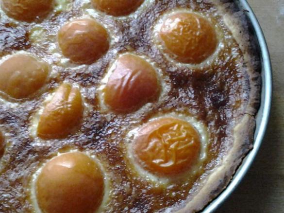 Tarte mit Aprikose