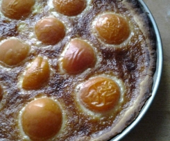 Tarte mit Aprikose