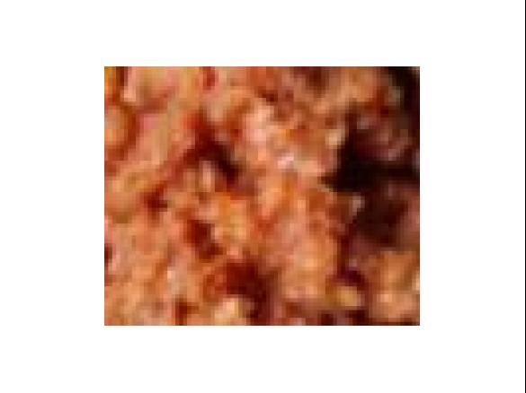 Reisaufstrich (Zwiebelmett vegan)