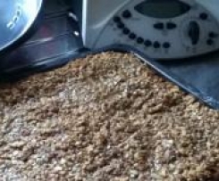 Bienenstich nicht gefüllt - vom Backblech