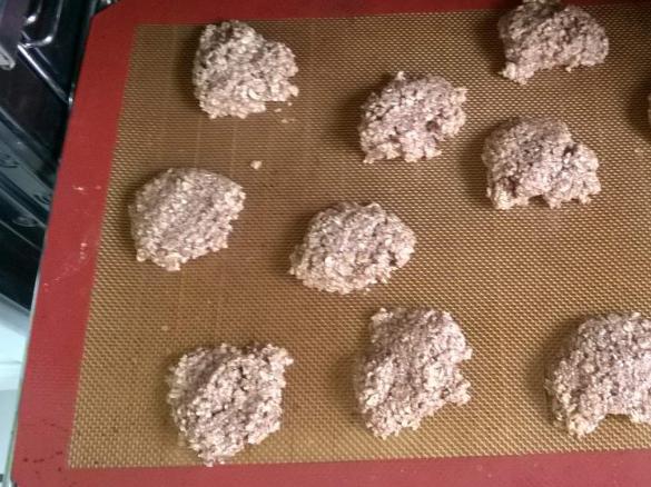 Gesunde Kekse Haferflocken schoki