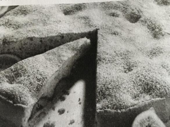 Spanische feigentorte