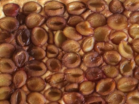 Pflaumenkuchen vom Blech