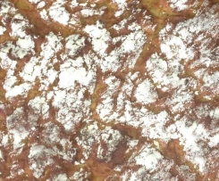 Zwiebelbrot