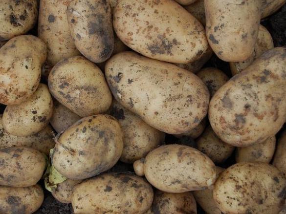 Kartoffelsuppe gegen Bauchweh - das Familienrezept meiner Oma