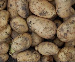 Kartoffelsuppe gegen Bauchweh - das Familienrezept meiner Oma