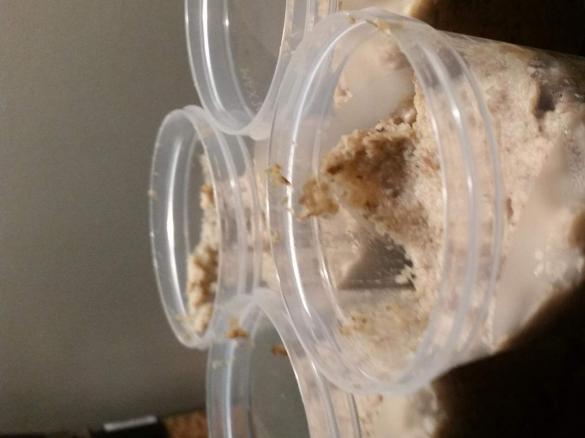 Topinambur mit Lammfleisch