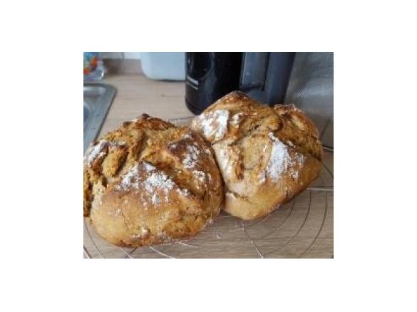 Dinkel-Joghurt-Vollkorn-Sonnen