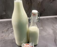 Raffaello-Likör ohne Ei