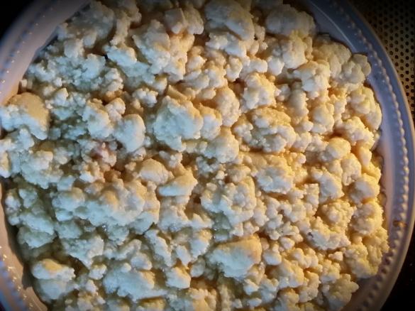 Apfel-Zwetschgen Crumble