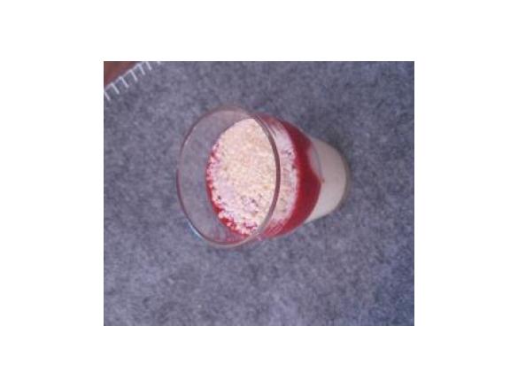 Spaghettieis-Dessert (Studenten-Variante) 