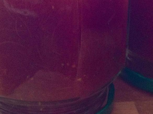 Variation von Lavendel-Erdbeer-Rhabarber-Konfitüre an Orangenlikör