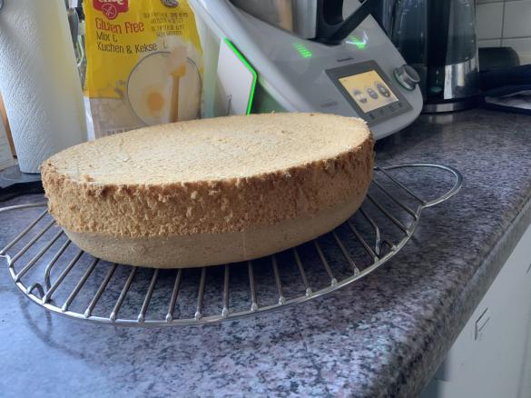 Biskuitboden glutenfrei