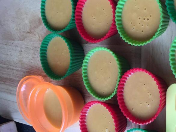 Baby Gemüsebrei mit Bio Hackfleisch