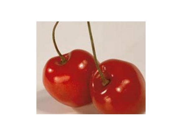 Buttermilchspeise mit Sauerkirschen