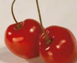 Buttermilchspeise mit Sauerkirschen