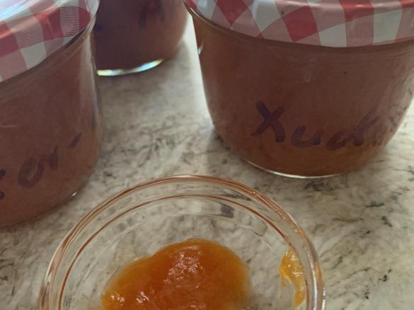 Aprikosenfruchtaufstrich mit Xucker