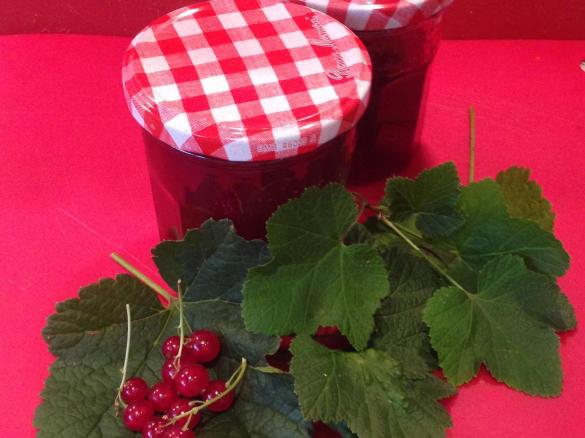 Johannisbeergelee mit Prosecco