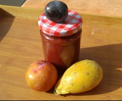 Zwetschge meets Kaktusfeige