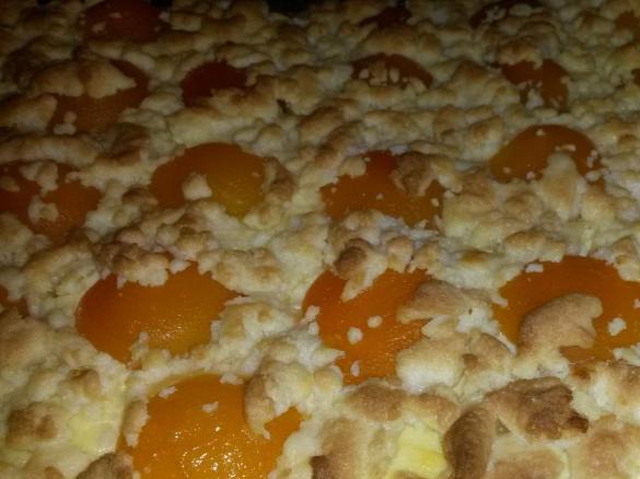 Quark-Streuselkuchen mit Aprikosen