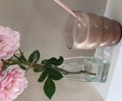 Schokominze-Bananensmoothie