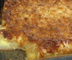 Käseschnitte Florentiner Art