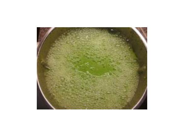 Kopfsalat-Schaumsüppchen