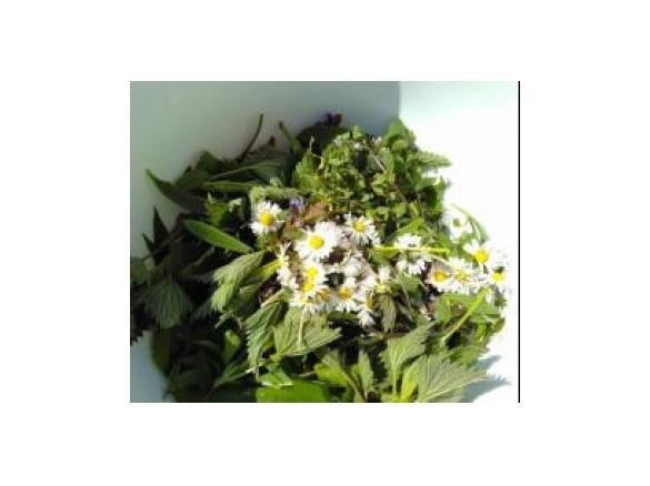 Gründonnerstags-Suppe / Neun-Kräuter-Suppe