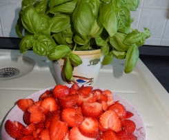 Erdbeermarmelade mit Basilikum