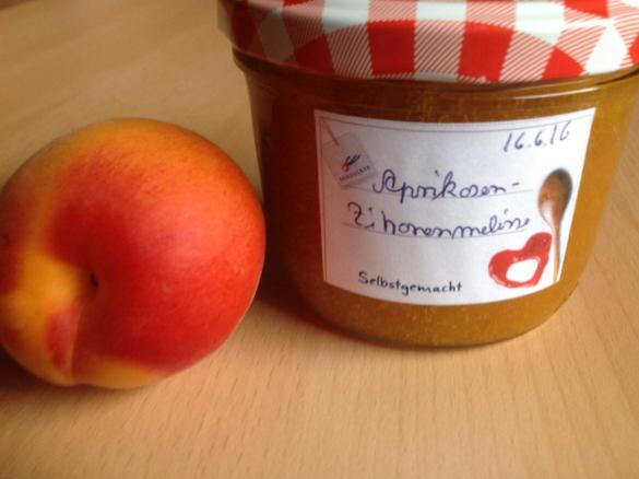 Aprikosenmarmelade mit Zitronenmelisse