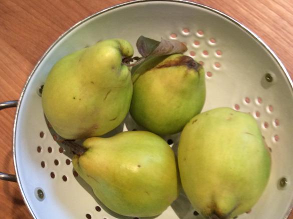 Quitte-Rum-Vanille Konfitüre