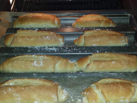 rustikale Panini Brötchen