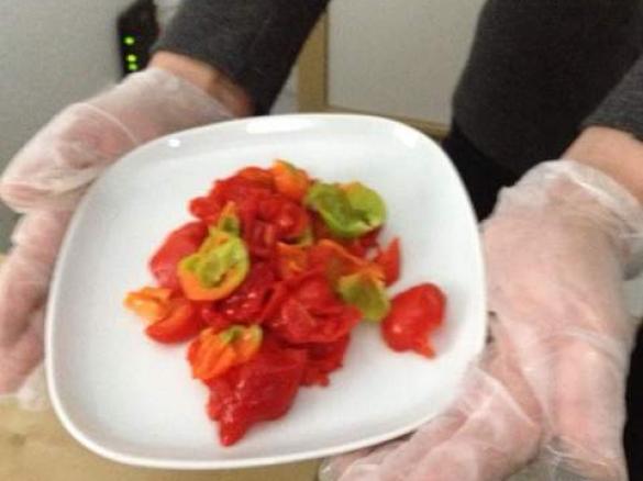 Habanero-Sauce / Chili-Sauce