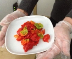 Habanero-Sauce / Chili-Sauce