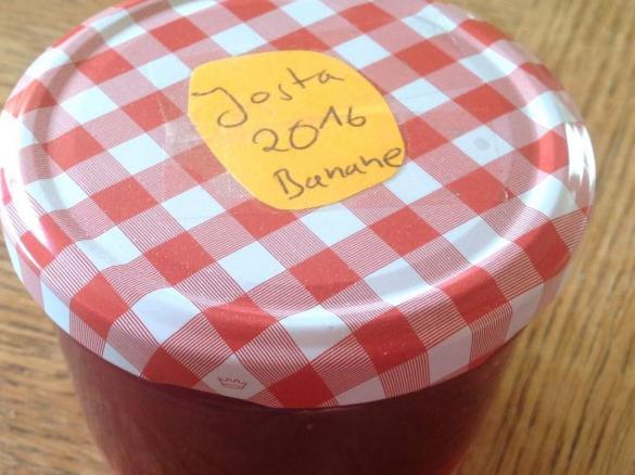 Jostabeere Banane Marmelade