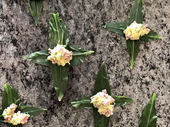 Variation Bärlauch - Capuns