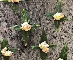 Variation Bärlauch - Capuns